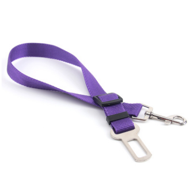 Fixed Strap Dog Leash