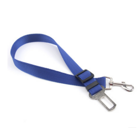 Fixed Strap Dog Leash