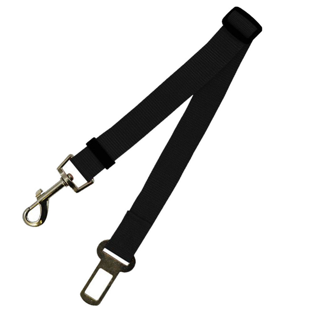 Fixed Strap Dog Leash