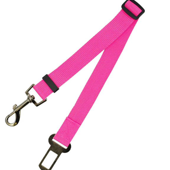 Fixed Strap Dog Leash