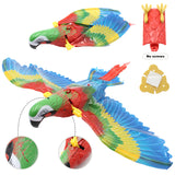 Interactive Hanging Bird Toy for Pets