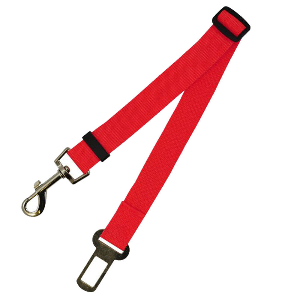 Fixed Strap Dog Leash