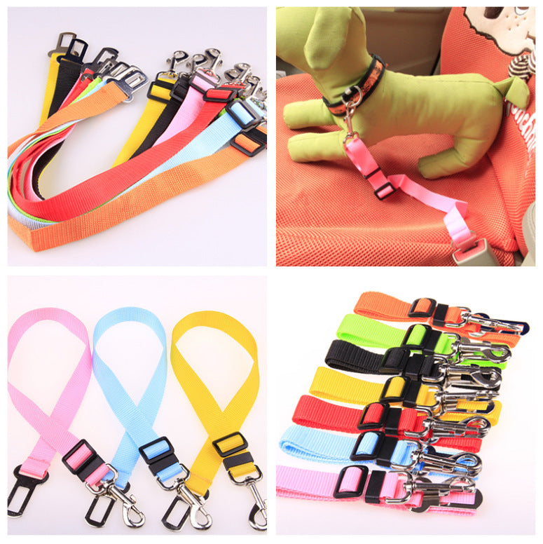 Fixed Strap Dog Leash