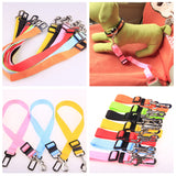 Fixed Strap Dog Leash