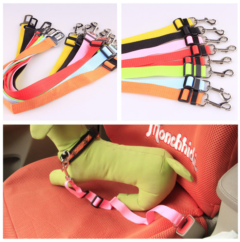 Fixed Strap Dog Leash