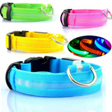 LED Pet Dog Collar