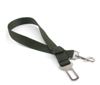 Fixed Strap Dog Leash