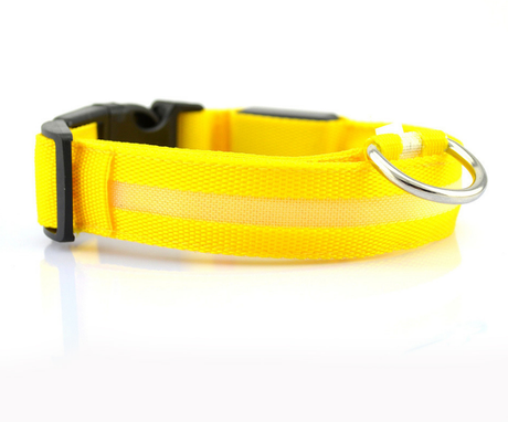 LED Pet Dog Collar