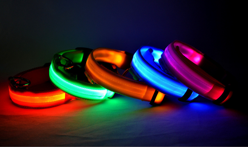 LED Pet Dog Collar