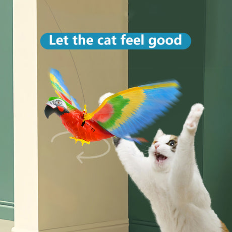 Interactive Hanging Bird Toy for Pets