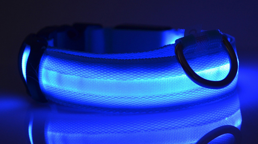 LED Pet Dog Collar