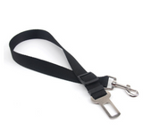 Fixed Strap Dog Leash