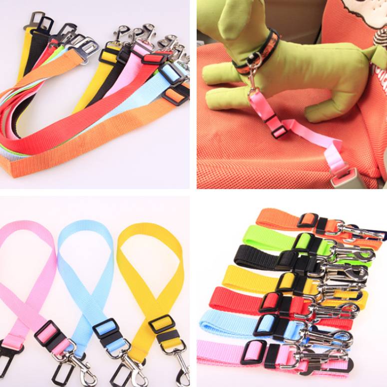 Fixed Strap Dog Leash