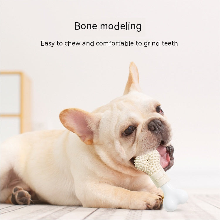 Bone Refillable Toothpaste Dog Toy